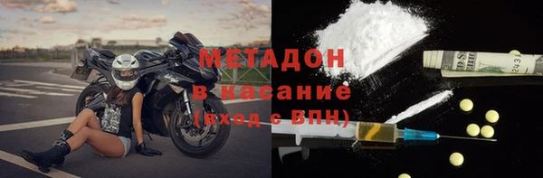прущие грибы Армянск