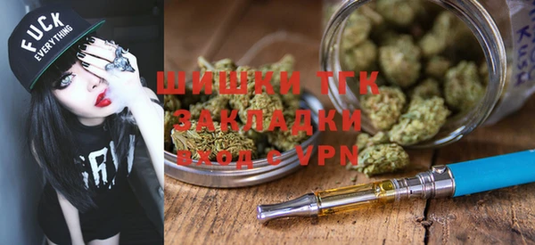 прущие грибы Армянск