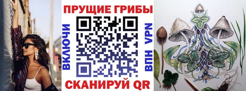 darknet формула  мега ссылка  Пласт  Псилоцибиновые грибы Magic Shrooms 